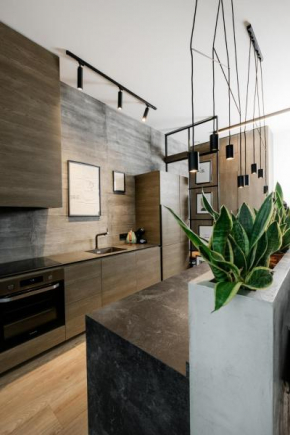Stylish apartment, loft number 7 with office space and free private parking